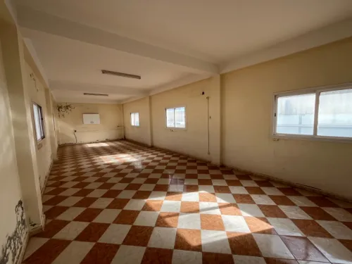 Location Hangar - Usine Oran Sidi chami