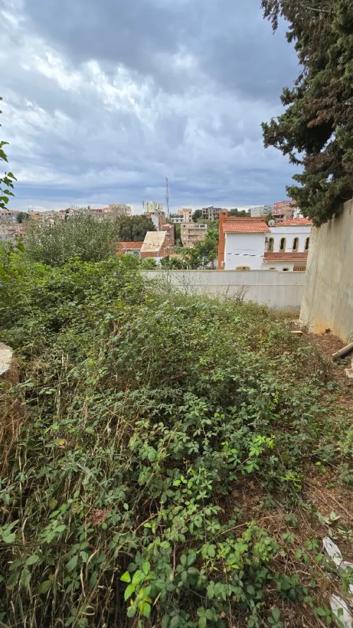 Vente Terrain Alger El achour