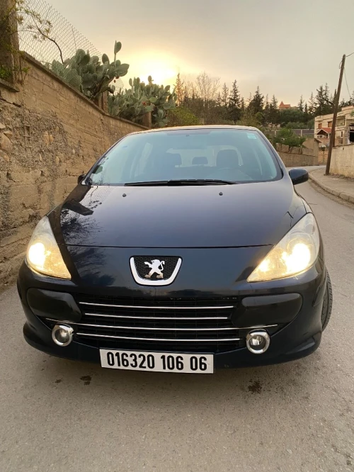 Peugeot 307 2006 307