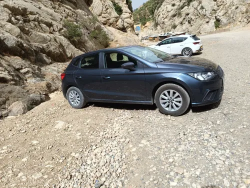 Seat Ibiza 2021 Ibiza