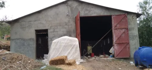 Vente Hangar - Usine Jijel Sidi maarouf