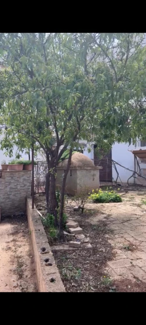 Vente Terrain Tlemcen Beni mester