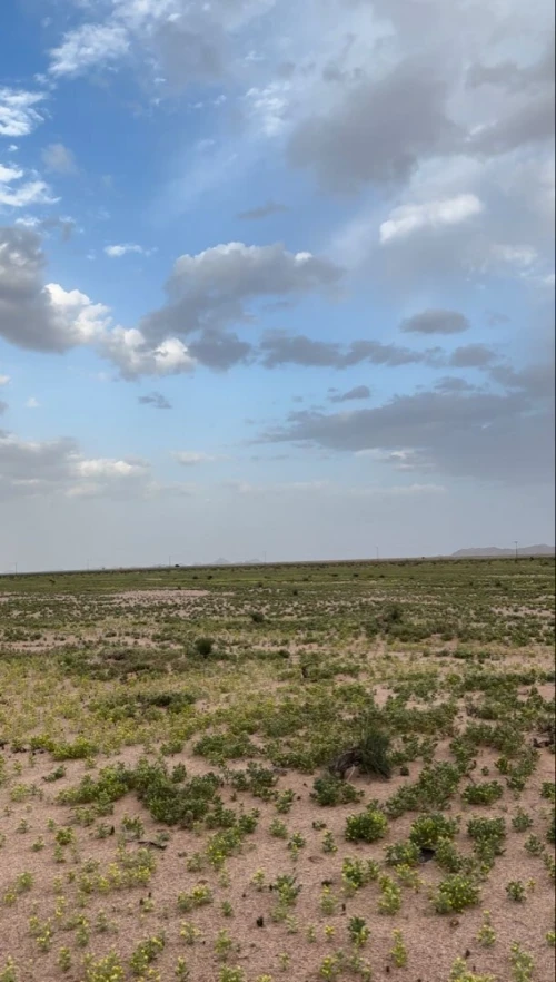 Vente Terrain Agricole Batna Seriana