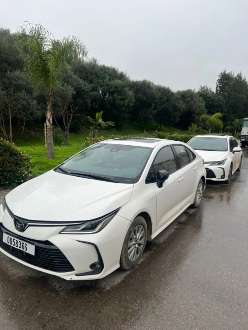 Toyota Corolla 2024 