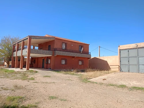Vente Terrain Agricole Laghouat Laghouat