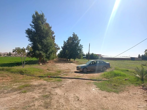 Vente Terrain Agricole Laghouat Laghouat