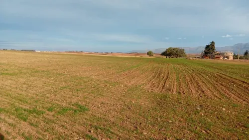 Vente Terrain Bouira Bouderbala