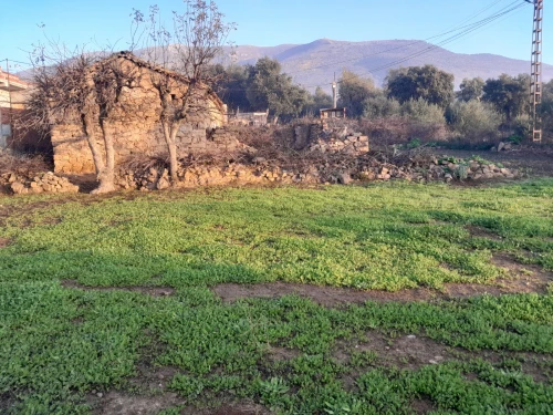 Vente Terrain Mila Chigara