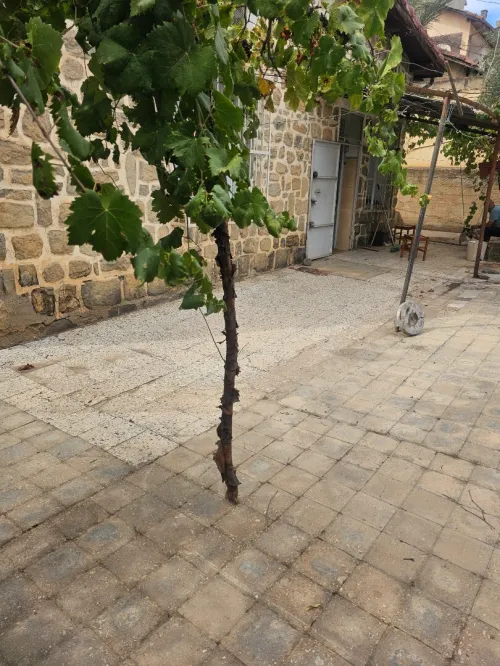 Vente Villa Médéa Tablat