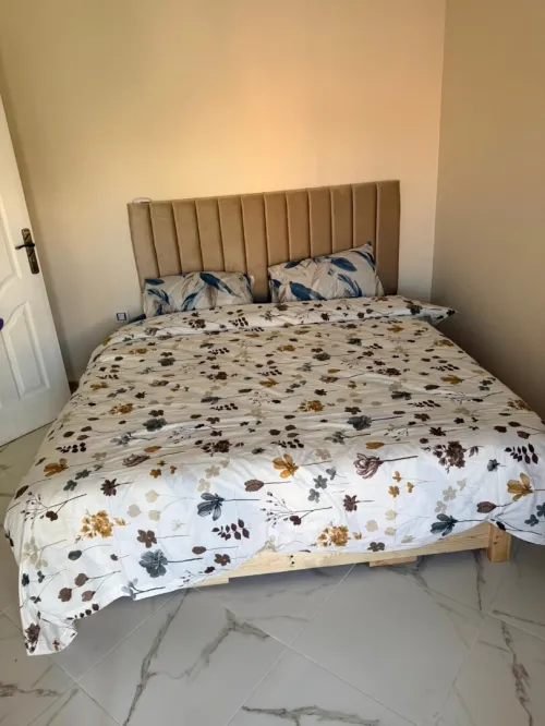 Location Appartement F2 Alger Hussein dey