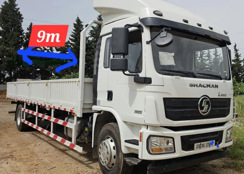 Schacman L3000 2025