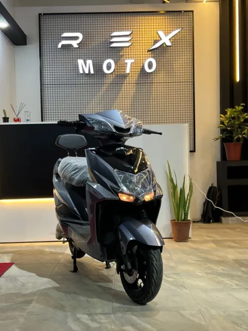 Rex SL 2025