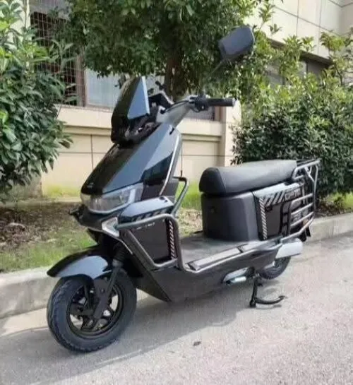 Rex Nova 2025