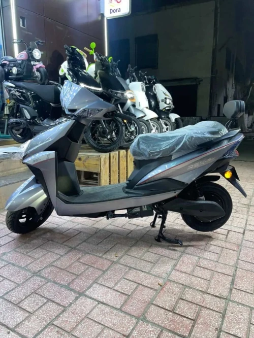 Rex SL 2025