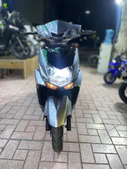 Rex SL 2025