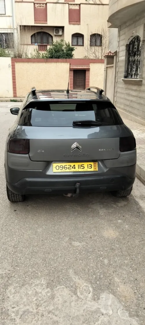 Citroen C4 Cactus 2015 C4 Cactus