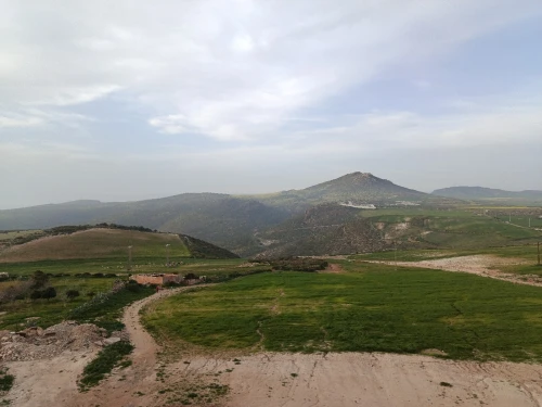Vente Terrain Aïn Témouchent Bou zedjar