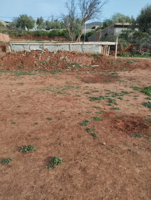 Vente Terrain Tlemcen Tlemcen