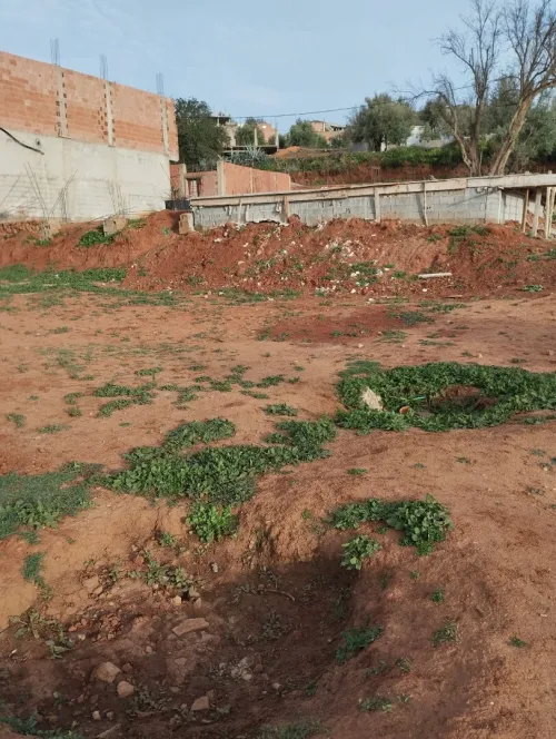 Vente Terrain Tlemcen Tlemcen