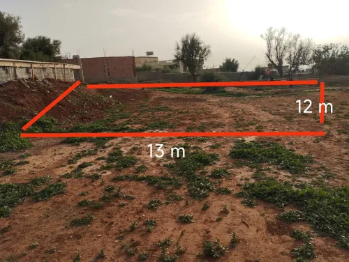 Vente Terrain Tlemcen Tlemcen