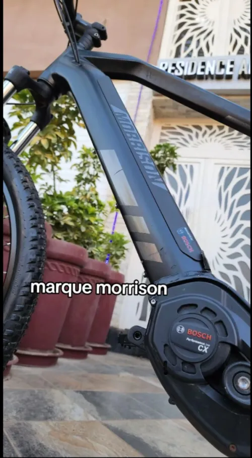 Vélo électrique Morrison 29 taille L