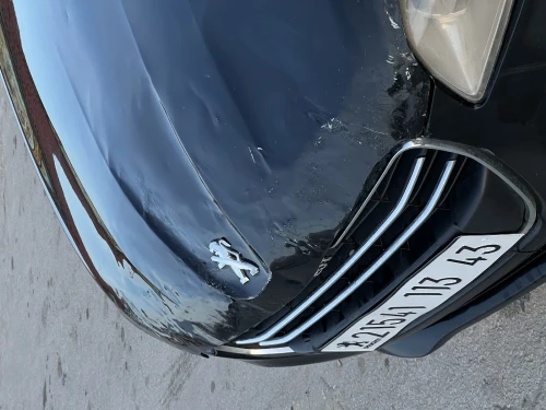 Peugeot 301 2013 301