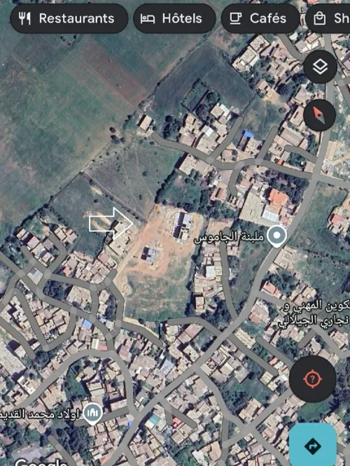 Vente Terrain Chlef Chlef