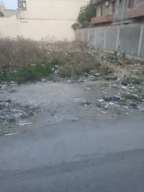 Vente Terrain Blida Meftah