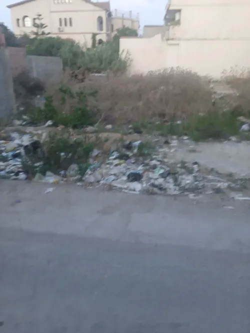 Vente Terrain Blida Meftah