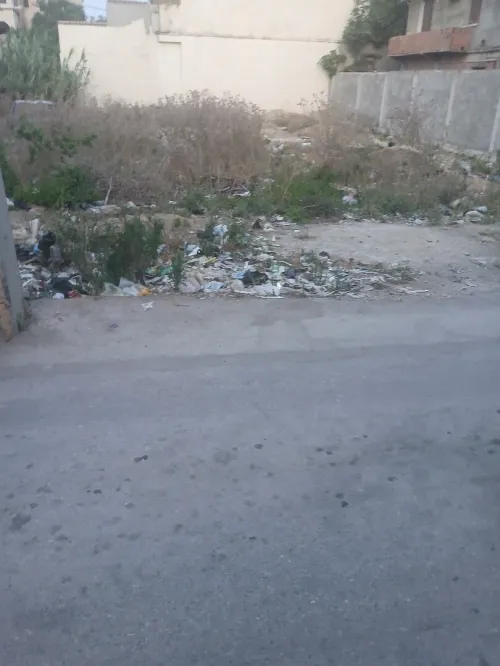 Vente Terrain Blida Meftah