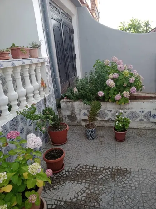 Vente Villa Annaba Seraidi