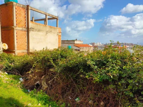 Vente Terrain Annaba Annaba
