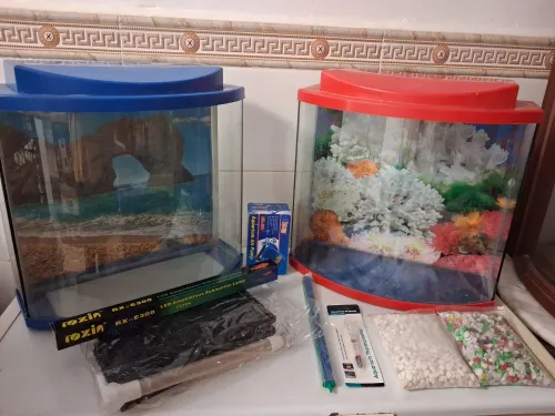 Aquarium 40cm avec couvercle et poster