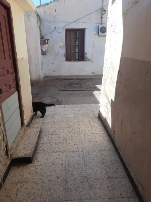 Vente bien immobilier Oran Hassi mefsoukh