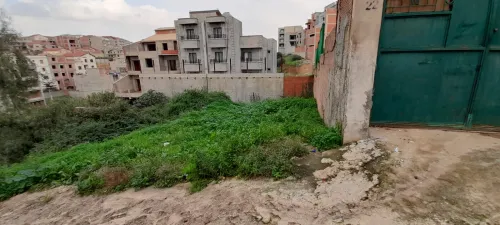 Vente Terrain Alger Saoula