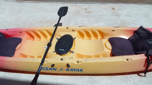 Kayak
