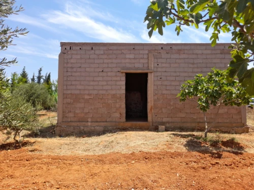 Vente Terrain Agricole Mostaganem Ain boudinar