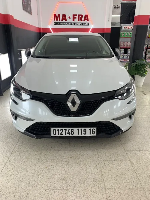 Renault Megane 3 RS 2019 Megane 3 RS