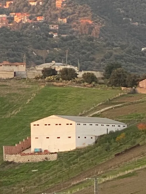 Vente Terrain Tizi Ouzou Tizi ouzou