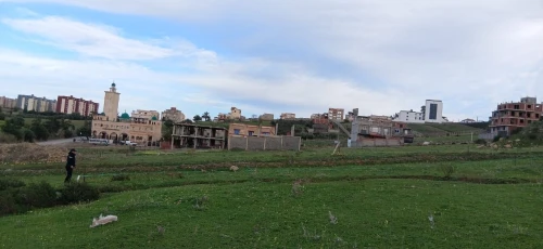 Vente Terrain Boumerdès Zemmouri