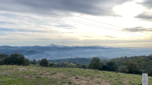Vente Terrain Boumerdès Zemmouri
