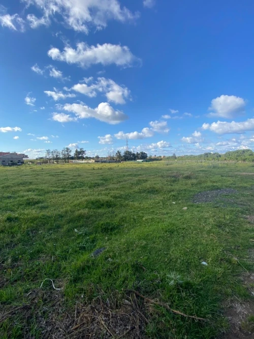 Location Terrain Boumerdès Boumerdes
