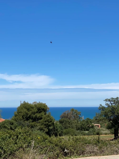 Vente Terrain Boumerdès Zemmouri