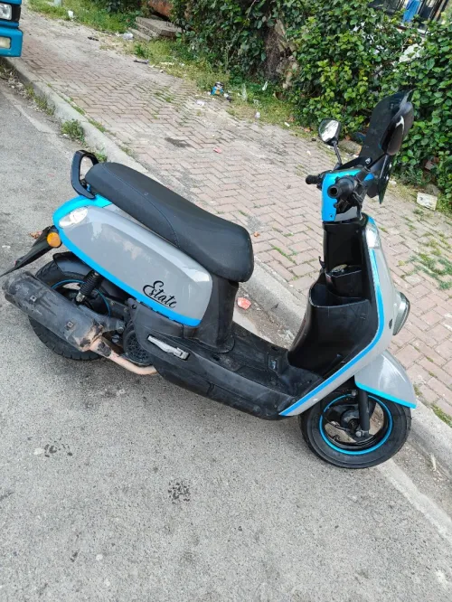 Vms Estate 2022