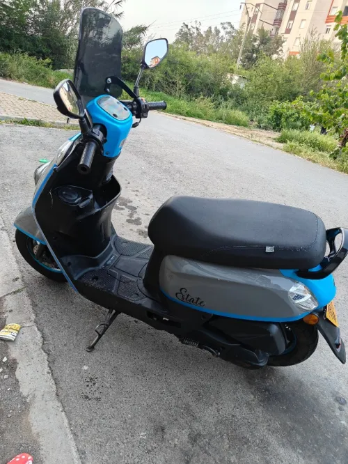 Vms Estate 2022