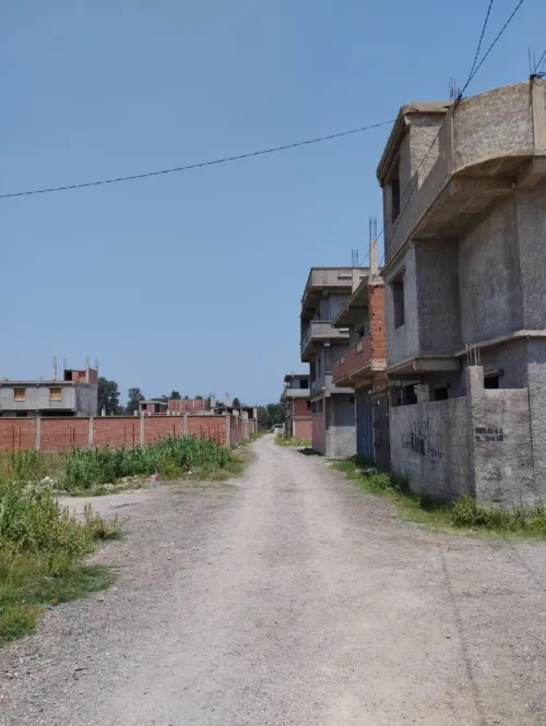 Vente Villa Blida Ouled el alleug