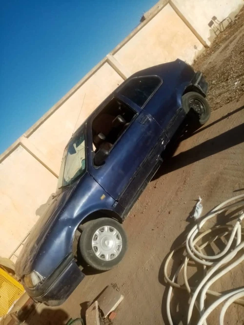Renault R19 1993 