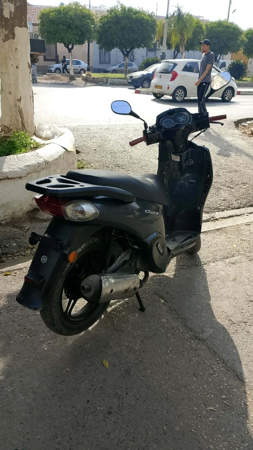 Écharme Moto radiateur 2014