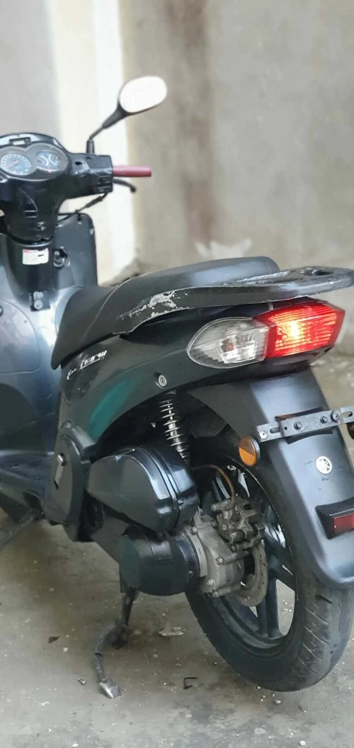 Écharme Moto radiateur 2014