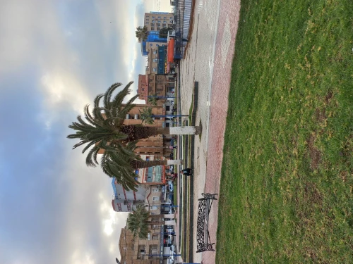 Vente Local Oran Ain el turck